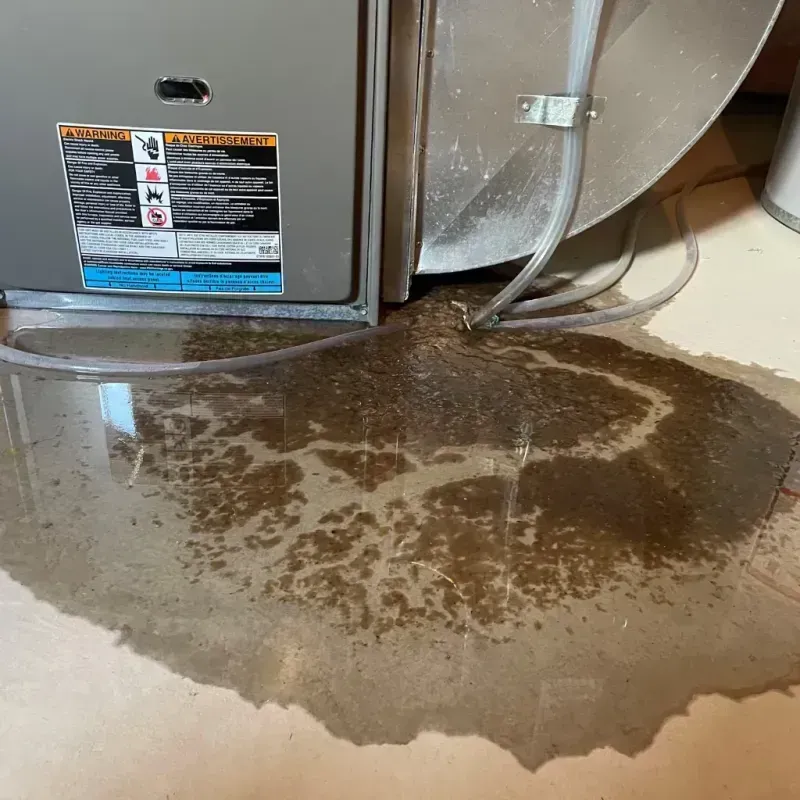 Appliance Leak Cleanup in Charleston, NY